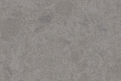 4030_Oyster