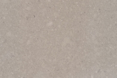 4230_Shitake
