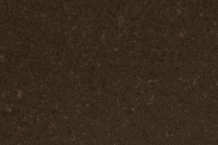 4360_Wild_Rice