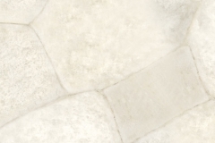 8141 White Quartz