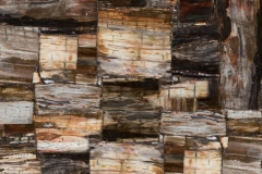 8331 Petrified Wood-Classic