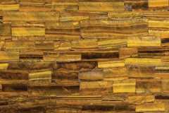 8630 Tiger Eye
