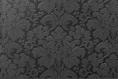 3100L Lace