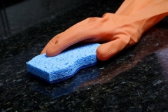 Cleaning Counter